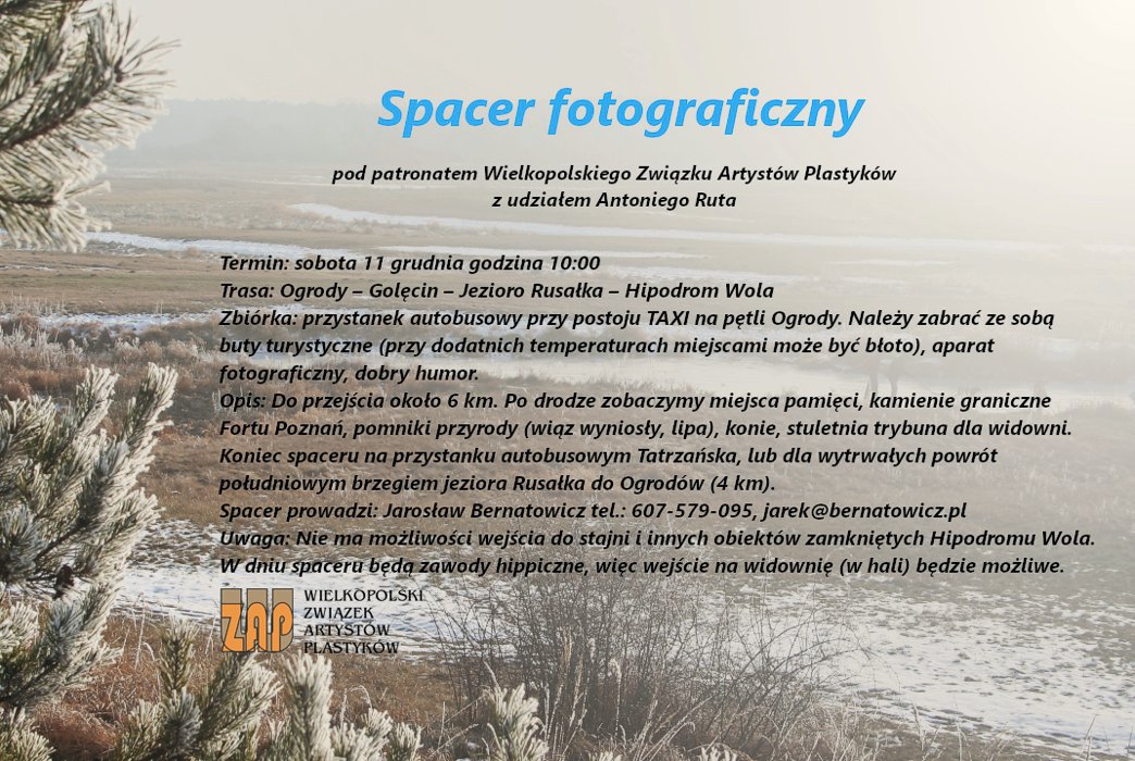 Spacer fotograficzny 2021