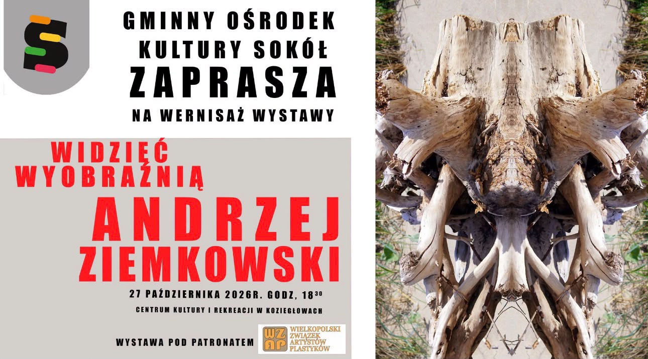 Andrzej Ziemkowski Widzieć wyobraźnią